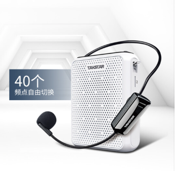 得胜 话筒设备 E300W 得胜（TAKSTAR） E300W小蜜蜂扩音器无线教师教学专用多功能蓝牙上课宝促销导游喇叭 40米稳定传输白色